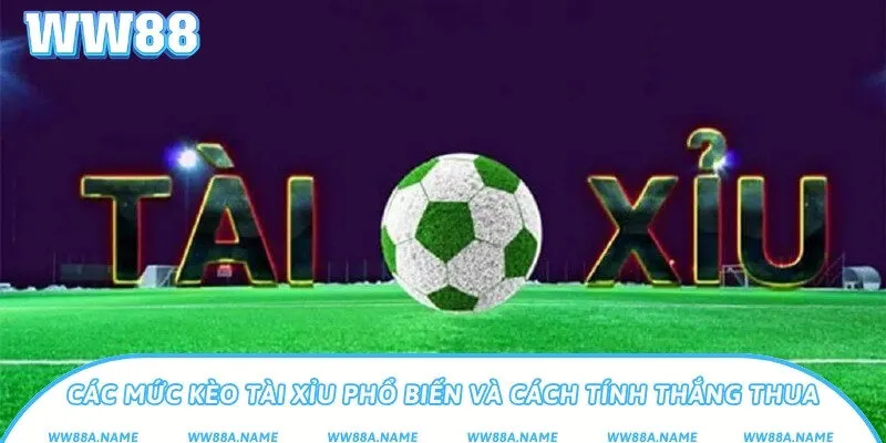 Các mức kèo tài xỉu phổ biến và cách tính thắng thua