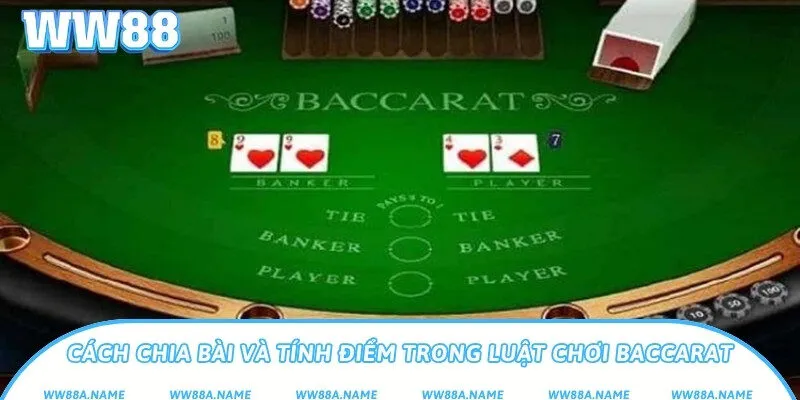 Cách chia bài và tính điểm trong luật chơi Baccarat