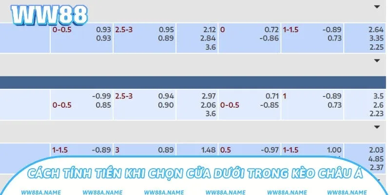 Cách tính tiền khi chọn cửa dưới trong kèo châu Á