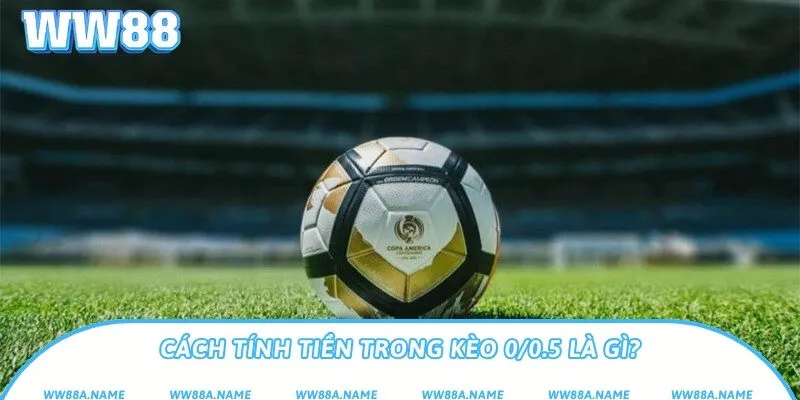 Cách tính tiền trong kèo 0/0.5 là gì?