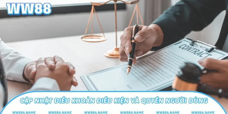 Cập nhật điều khoản điều kiện và quyền người dùng