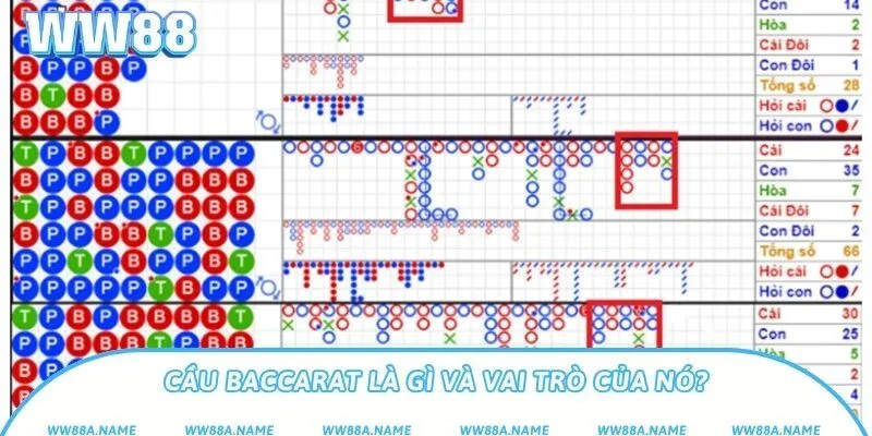 Cầu Baccarat là gì và vai trò của nó?