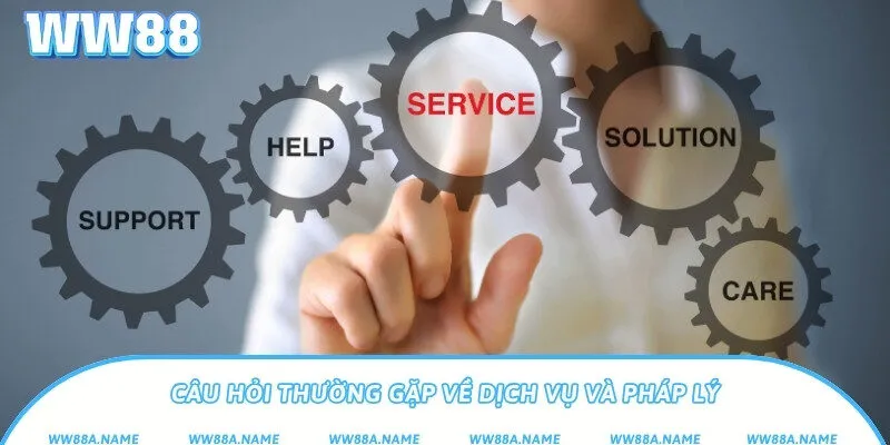 Câu hỏi thường gặp về dịch vụ và pháp lý