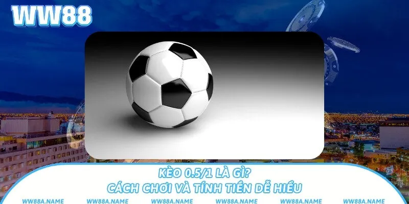 Kèo 0.5/1 là gì? Cách chơi và tính tiền dễ hiểu