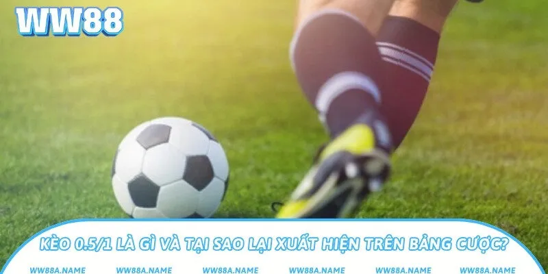 Kèo 0.5/1 là gì và tại sao lại xuất hiện trên bảng cược?
