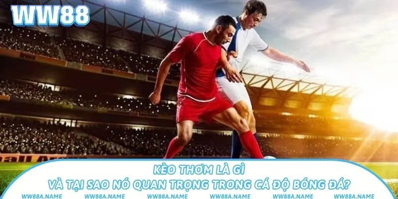 Kèo thơm là gì và tại sao nó quan trọng trong cá độ bóng đá?