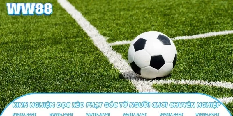Kinh nghiệm đọc kèo phạt góc từ người chơi chuyên nghiệp