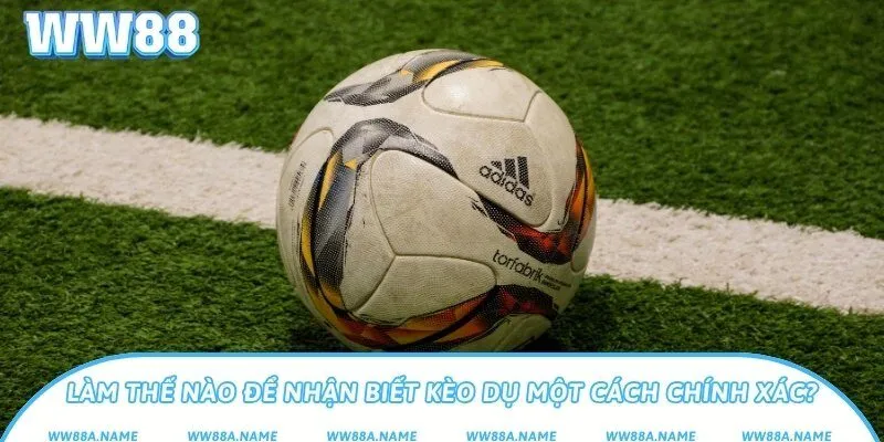 Làm thế nào để nhận biết kèo dụ một cách chính xác?