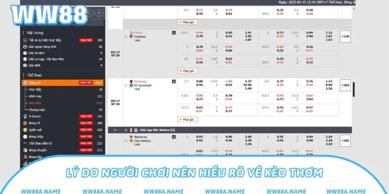 Lý do người chơi nên hiểu rõ về kèo thơm