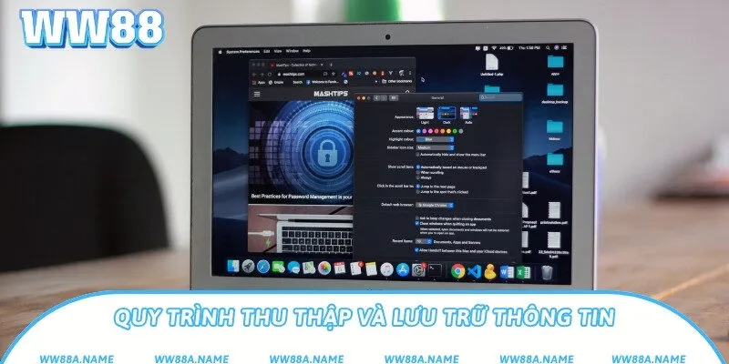 Quy trình thu thập và lưu trữ thông tin