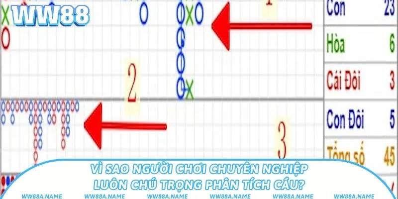 Vì sao người chơi chuyên nghiệp luôn chú trọng phân tích cầu?