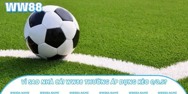 Vì sao nhà cái WW88 thường áp dụng kèo 0/0.5?